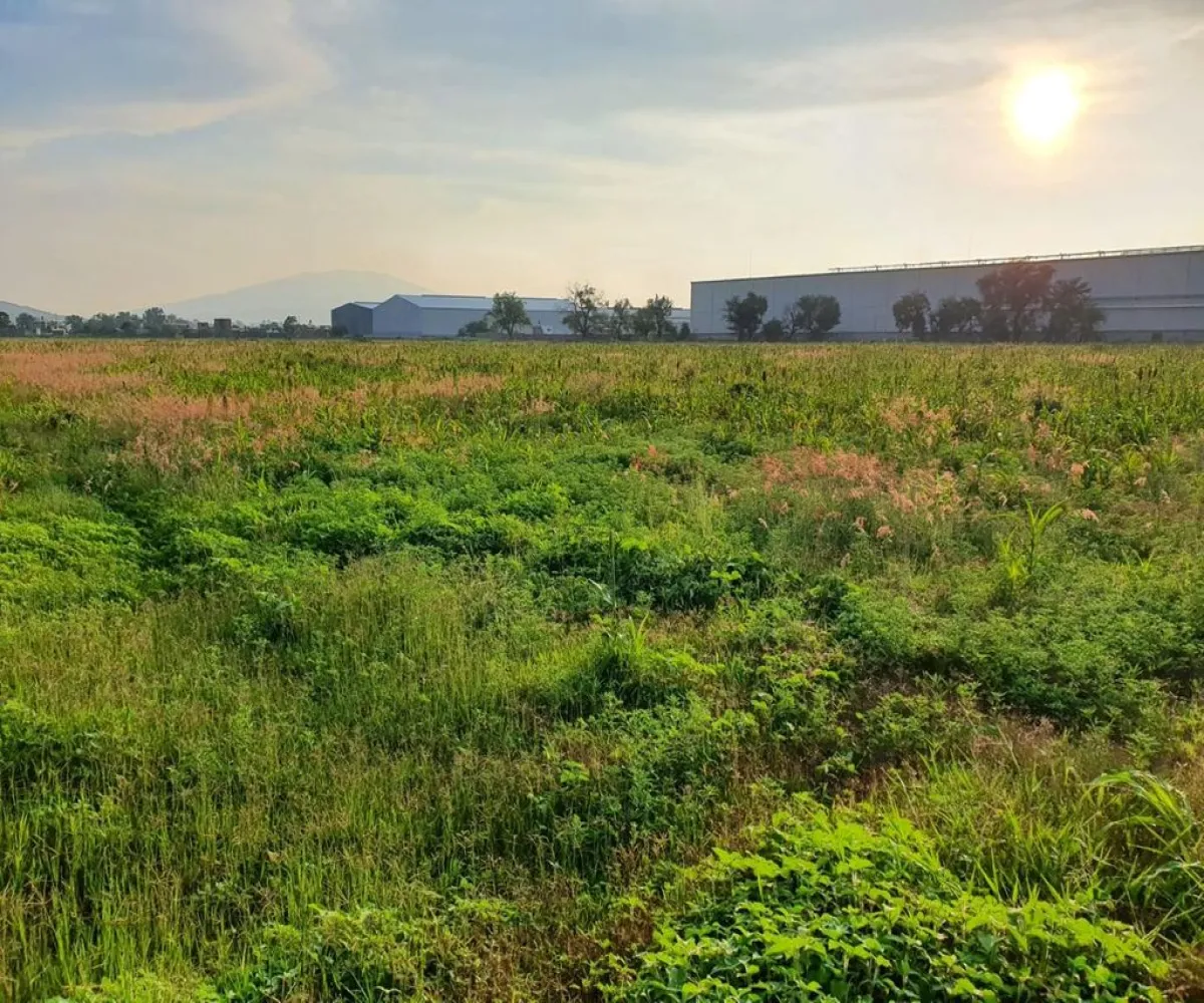 Terreno En Venta,Hacienda La Loma,Camino Fraccionamiento La Haciendita S/N, Zamora, Michoacán de Ocampo 59624,Camino Fraccionamiento La Haciendita ,pONpmWC