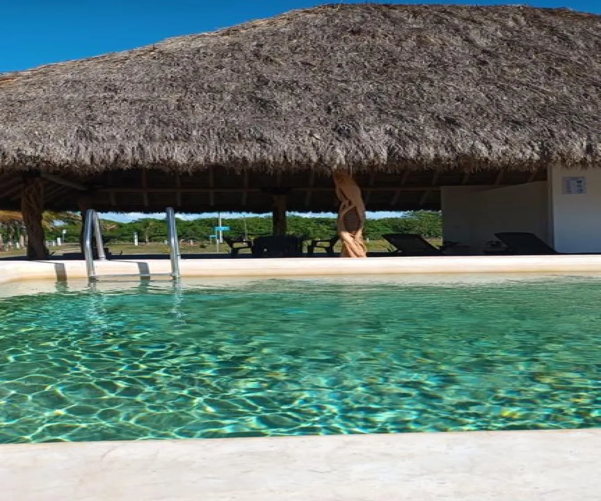 Terreno En PreVenta,Playa Novillero,Carretera Novillero-Cuautla KM 10.5 S/N, Tecuala, Nayarit 63466,Carretera Novillero-Cuautla KM 10.5,pSuQxbr Terreno En PreVenta,Playa Novillero,Carretera Novillero-Cuautla KM 10.5 S/N, Tecuala, Nayarit 63466,Carretera Novillero-Cuautla KM 10.5,pSuQxbr