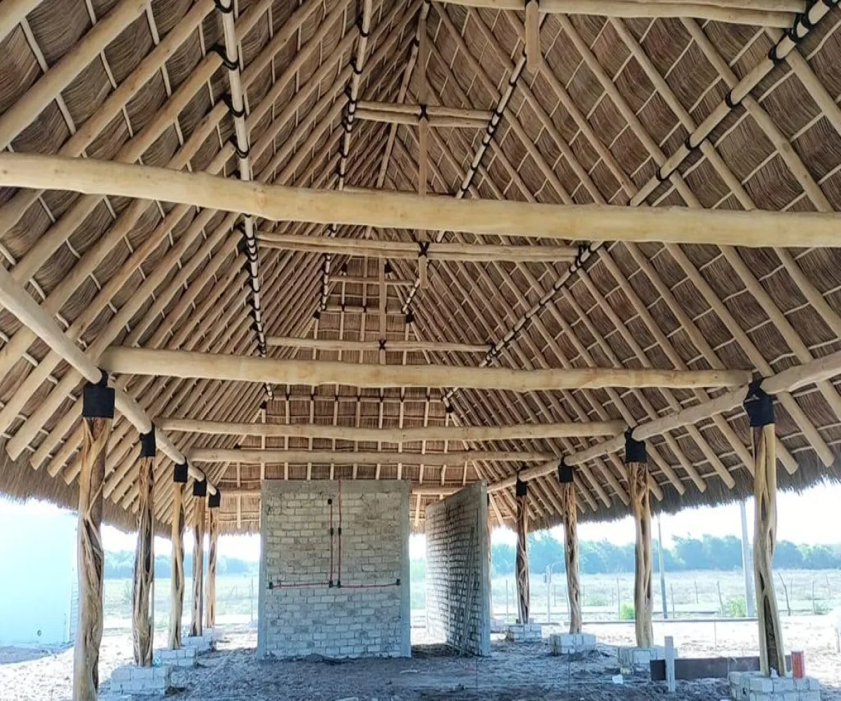 Terreno En PreVenta,Playa Novillero,Carretera Novillero-Cuautla KM 10.5 S/N, Tecuala, Nayarit 63466,Carretera Novillero-Cuautla KM 10.5,pSuQxbr Terreno En PreVenta,Playa Novillero,Carretera Novillero-Cuautla KM 10.5 S/N, Tecuala, Nayarit 63466,Carretera Novillero-Cuautla KM 10.5,pSuQxbr