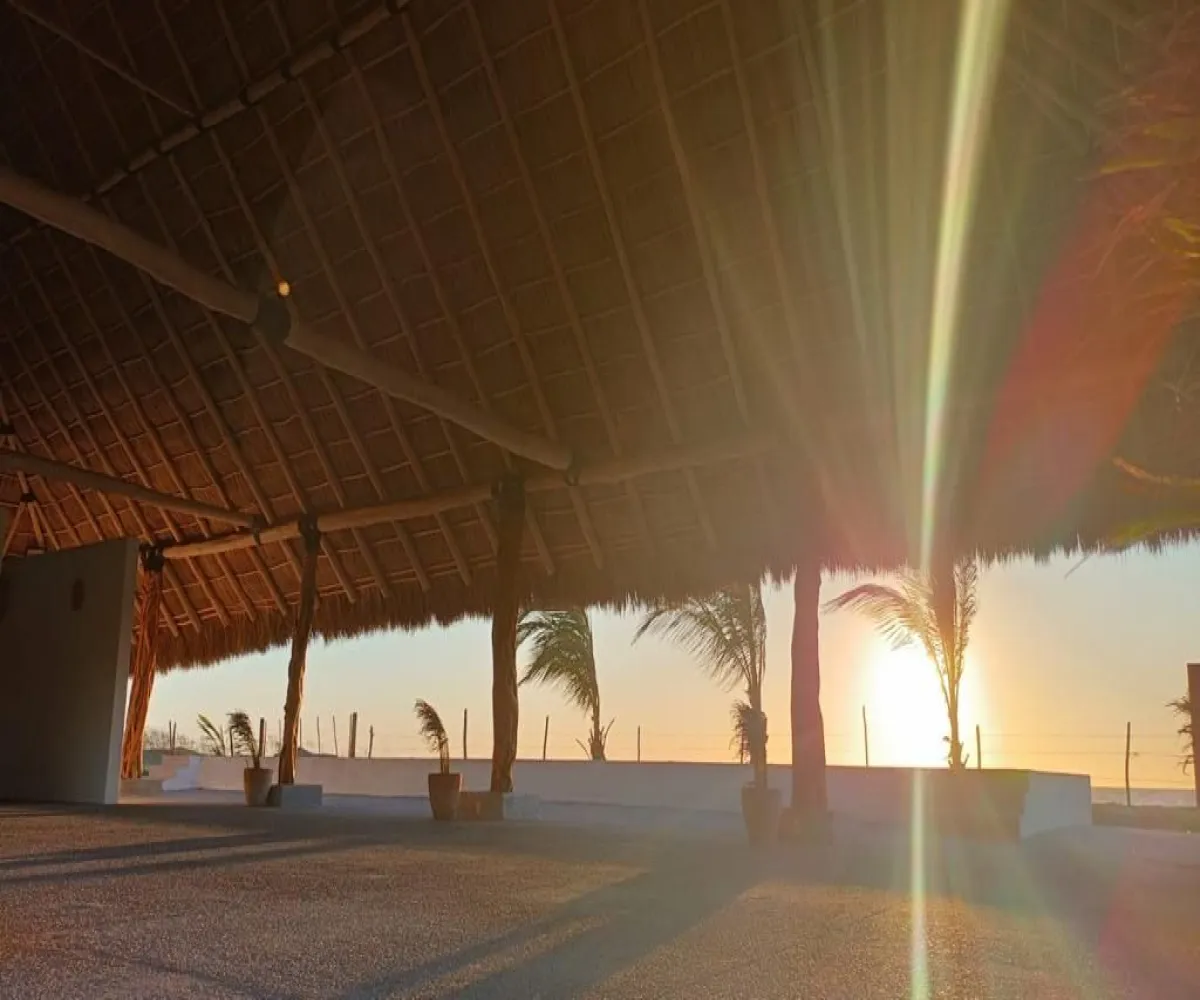 Terreno En PreVenta,Playa Novillero,Carretera Novillero-Cuautla KM 10.5 S/N, Tecuala, Nayarit 63466,Carretera Novillero-Cuautla KM 10.5,pSuQxbr Terreno En PreVenta,Playa Novillero,Carretera Novillero-Cuautla KM 10.5 S/N, Tecuala, Nayarit 63466,Carretera Novillero-Cuautla KM 10.5,pSuQxbr