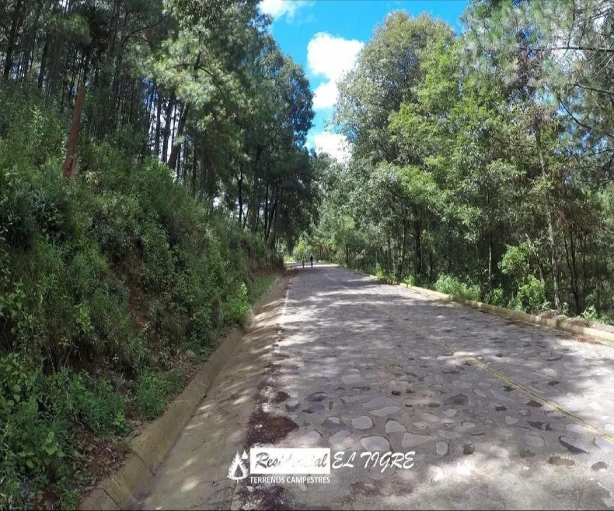 Terreno En Venta,Valle De Juarez,Ruta Turística Sierra del Tigre 5 36, Valle de Juárez, Jalisco 49540,Ruta Turística Sierra del Tigre,pHtUq0U Terreno En Venta,Valle De Juarez,Ruta Turística Sierra del Tigre 5 36, Valle de Juárez, Jalisco 49540,Ruta Turística Sierra del Tigre,pHtUq0U