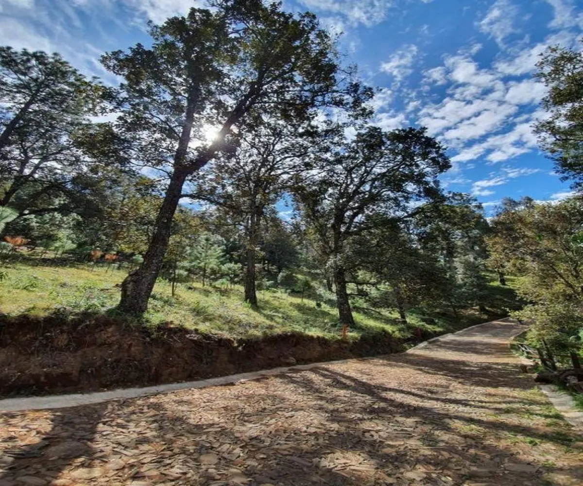 Terreno En Venta,Valle De Juarez,Ruta Turística Sierra del Tigre 5 36, Valle de Juárez, Jalisco 49540,Ruta Turística Sierra del Tigre,pHtUq0U Terreno En Venta,Valle De Juarez,Ruta Turística Sierra del Tigre 5 36, Valle de Juárez, Jalisco 49540,Ruta Turística Sierra del Tigre,pHtUq0U