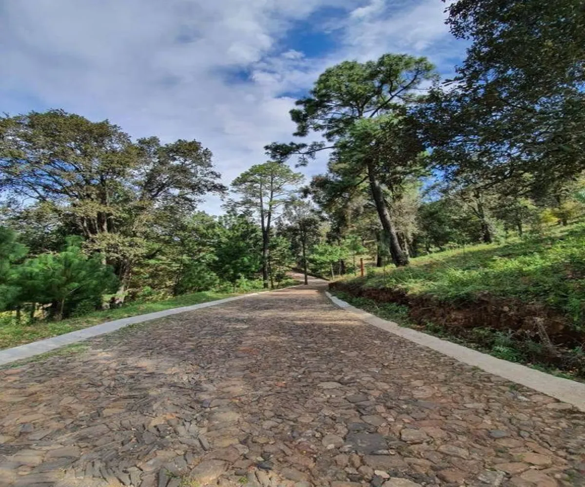 Terreno En Venta,Valle De Juarez,Ruta Turística Sierra del Tigre 5 36, Valle de Juárez, Jalisco 49540,Ruta Turística Sierra del Tigre,pHtUq0U Terreno En Venta,Valle De Juarez,Ruta Turística Sierra del Tigre 5 36, Valle de Juárez, Jalisco 49540,Ruta Turística Sierra del Tigre,pHtUq0U