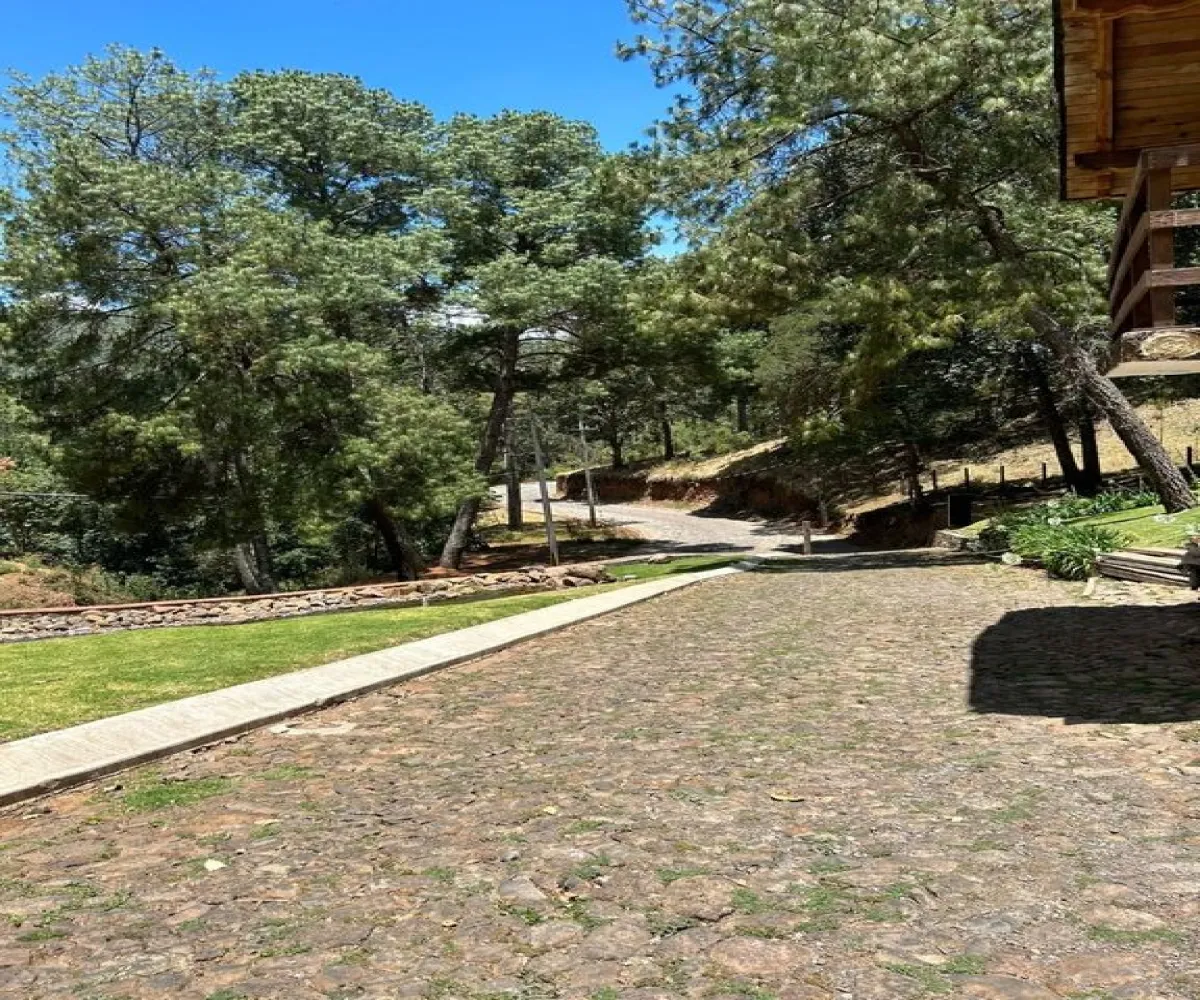 Terreno En Venta,Valle De Juarez,Ruta Turística Sierra del Tigre 5 36, Valle de Juárez, Jalisco 49540,Ruta Turística Sierra del Tigre,pHtUq0U Terreno En Venta,Valle De Juarez,Ruta Turística Sierra del Tigre 5 36, Valle de Juárez, Jalisco 49540,Ruta Turística Sierra del Tigre,pHtUq0U