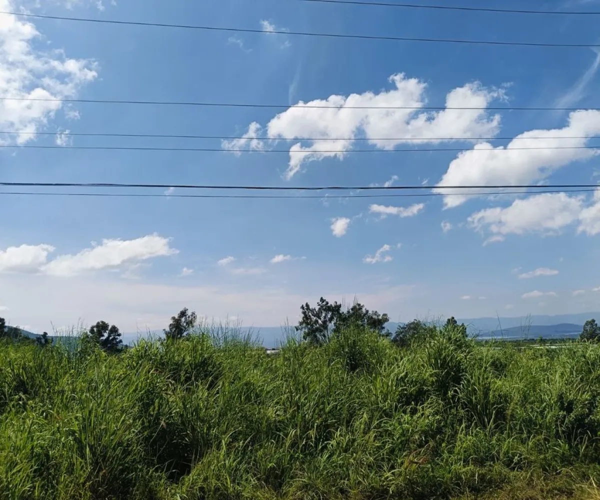 Terreno En Venta,Acatlán de Juárez Centro,Maravillas 15, Acatlán de Juárez, Jalisco 45700,Maravillas ,pbeZFUu Terreno En Venta,Acatlán de Juárez Centro,Maravillas 15, Acatlán de Juárez, Jalisco 45700,Maravillas ,pbeZFUu