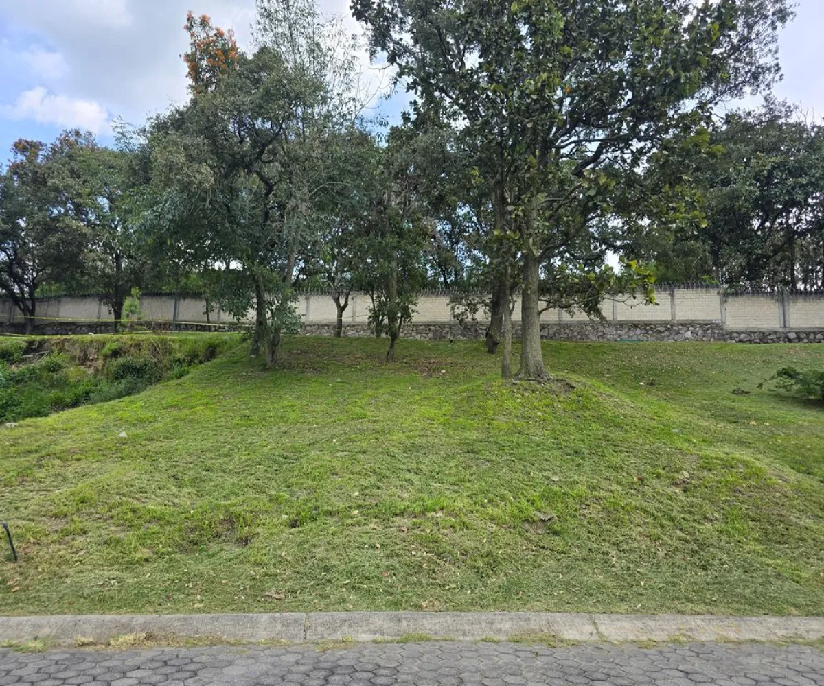 Terreno En Venta,Bosque Real De Santa Anita,loma de los pinos S/N, Tlajomulco de Zúñiga, Jalisco 45640,loma de los pinos,p4tMSsb Terreno En Venta,Bosque Real De Santa Anita,loma de los pinos S/N, Tlajomulco de Zúñiga, Jalisco 45640,loma de los pinos,p4tMSsb