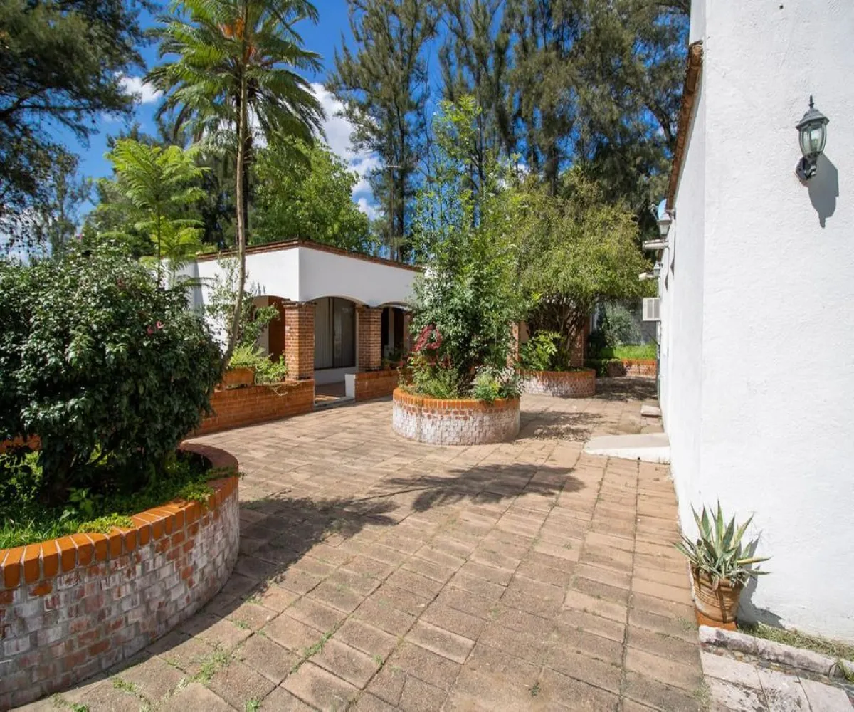 Terreno En Venta,El Sauz De Arriba,Silao-León de Los Aldama 669, León, Guanajuato 37683,Silao-León de Los Aldama,pIad8dA Terreno En Venta,El Sauz De Arriba,Silao-León de Los Aldama 669, León, Guanajuato 37683,Silao-León de Los Aldama,pIad8dA