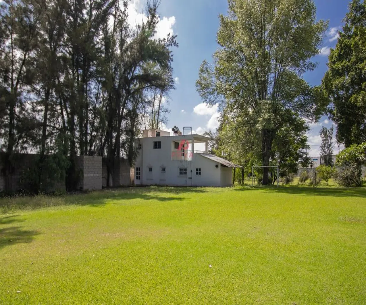 Terreno En Venta,El Sauz De Arriba,Silao-León de Los Aldama 669, León, Guanajuato 37683,Silao-León de Los Aldama,pIad8dA Terreno En Venta,El Sauz De Arriba,Silao-León de Los Aldama 669, León, Guanajuato 37683,Silao-León de Los Aldama,pIad8dA