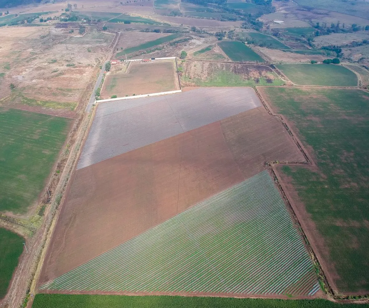 Terreno En Venta,Nextipac,Union 102, Zapopan, Jalisco 45220,Union,p0pmYaV