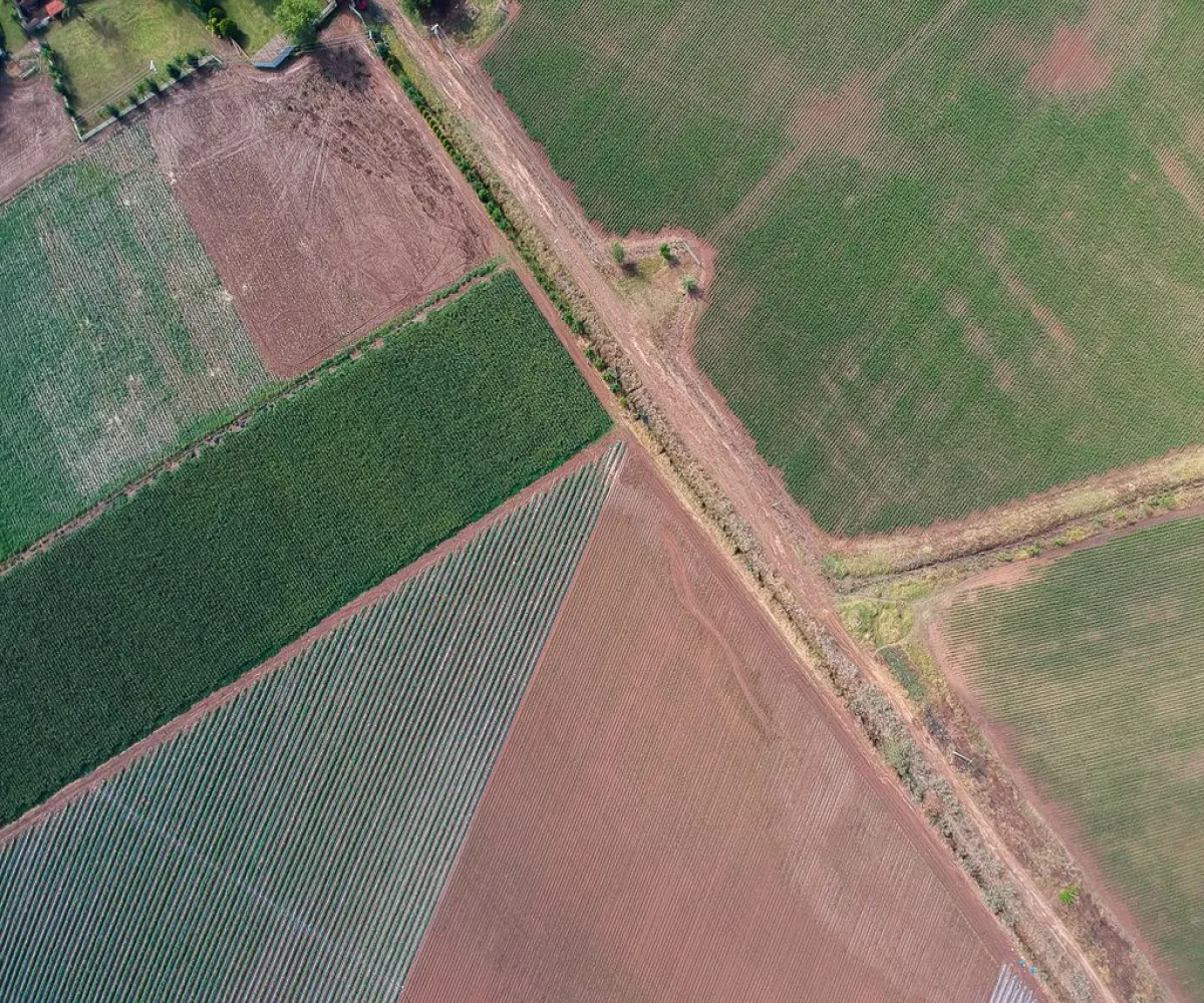 Terreno En Venta,Nextipac,Union 102, Zapopan, Jalisco 45220,Union,p0pmYaV