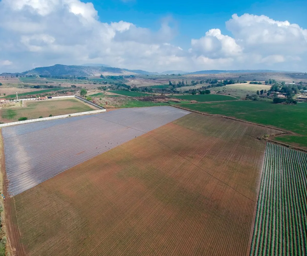 Terreno En Venta,Nextipac,Union 102, Zapopan, Jalisco 45220,Union,p0pmYaV