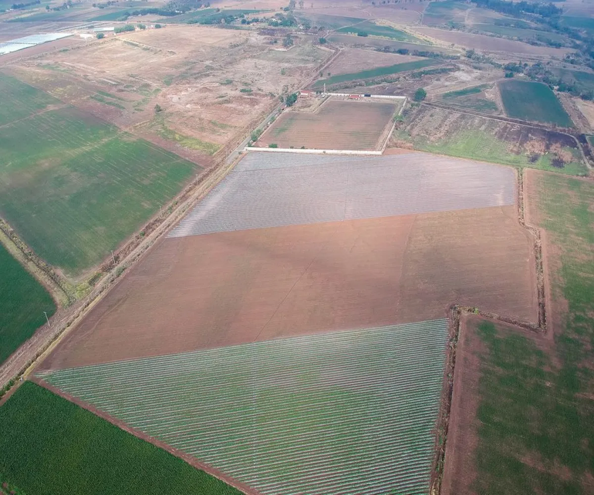 Terreno En Venta,Nextipac,Union 102, Zapopan, Jalisco 45220,Union,p0pmYaV