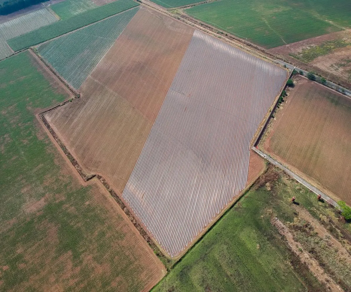 Terreno En Venta,Nextipac,Union 102, Zapopan, Jalisco 45220,Union,p0pmYaV