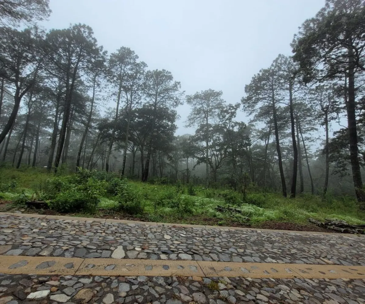 Terreno En Venta,tapalpa,condominio cardo santo S/N, Tapalpa, Jalisco 49340,condominio cardo santo,pR69fFK Terreno En Venta,tapalpa,condominio cardo santo S/N, Tapalpa, Jalisco 49340,condominio cardo santo,pR69fFK