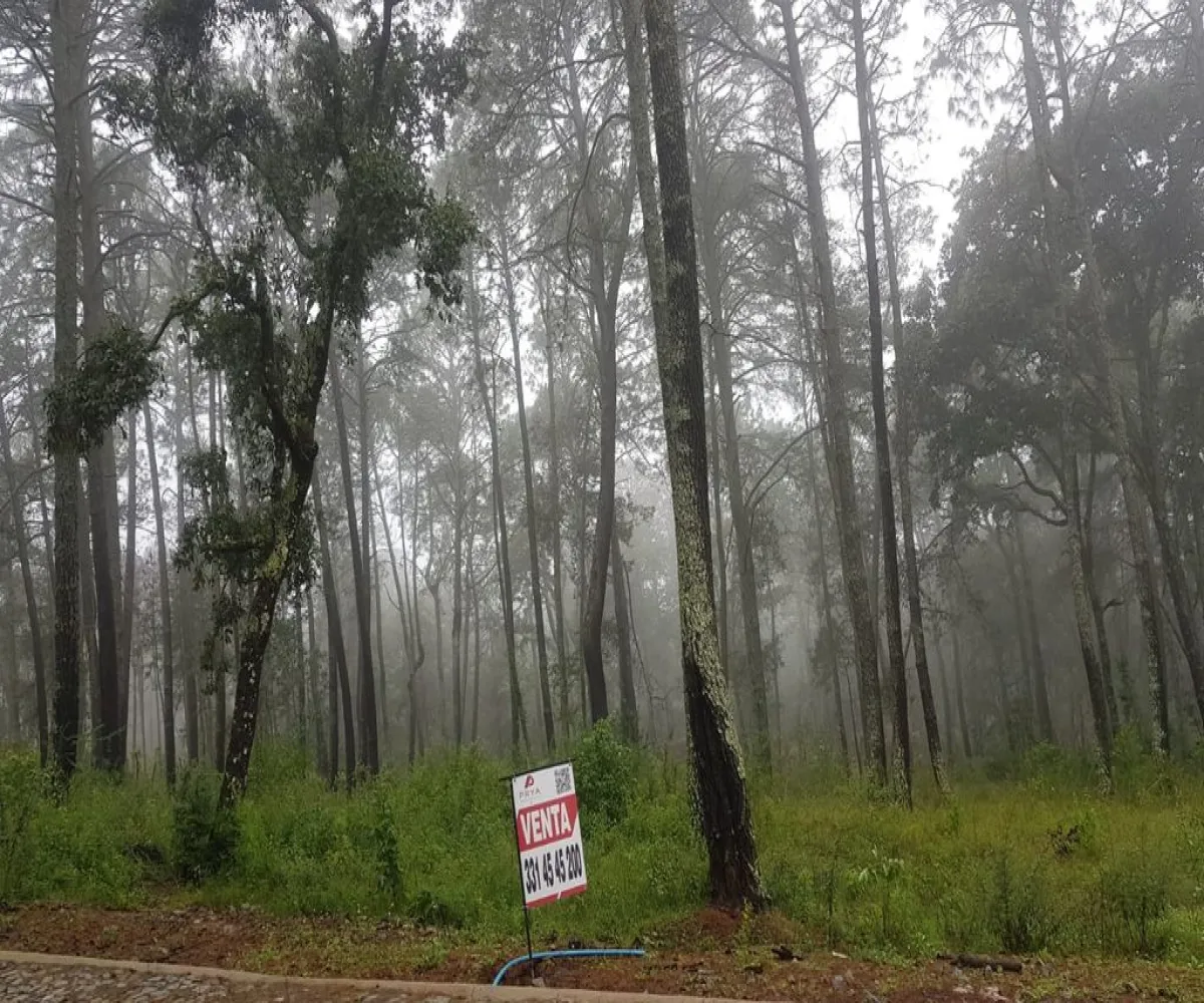 Terreno En Venta,tapalpa,condominio cardo santo S/N, Tapalpa, Jalisco 49340,condominio cardo santo,pR69fFK Terreno En Venta,tapalpa,condominio cardo santo S/N, Tapalpa, Jalisco 49340,condominio cardo santo,pR69fFK