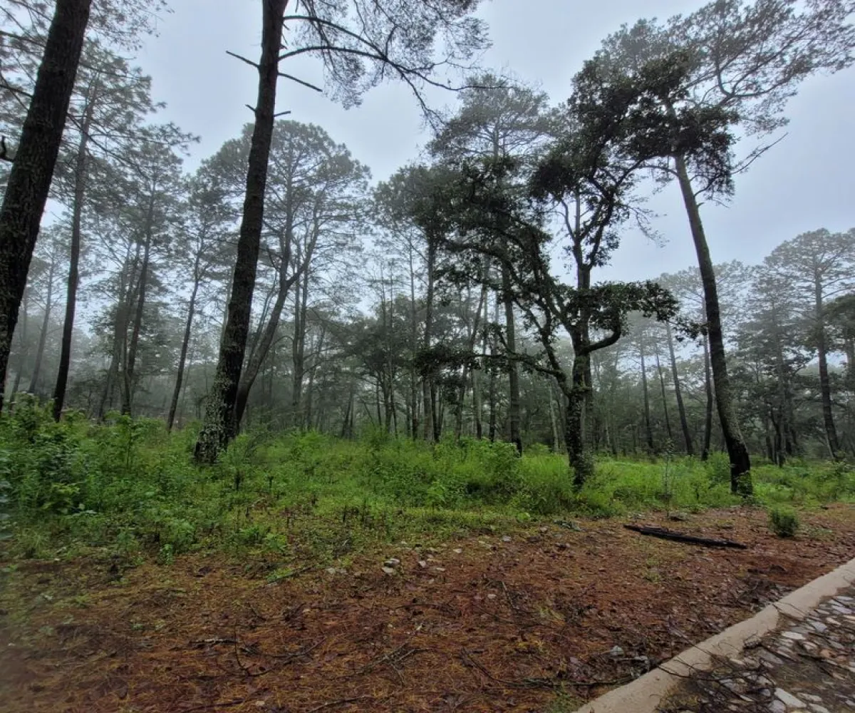 Terreno En Venta,tapalpa,condominio cardo santo S/N, Tapalpa, Jalisco 49340,condominio cardo santo,pR69fFK Terreno En Venta,tapalpa,condominio cardo santo S/N, Tapalpa, Jalisco 49340,condominio cardo santo,pR69fFK