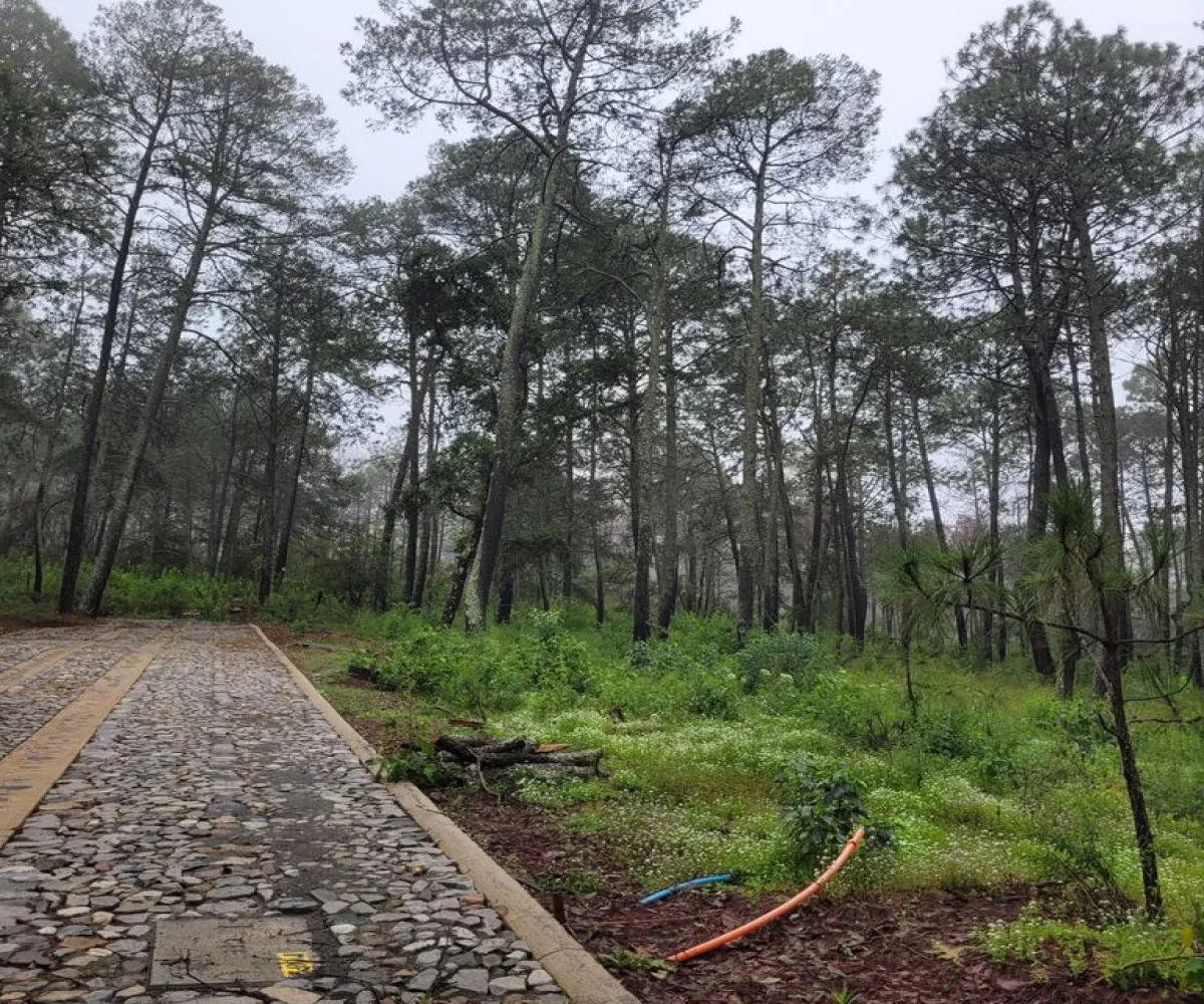 Terreno En Venta,tapalpa,condominio cardo santo S/N, Tapalpa, Jalisco 49340,condominio cardo santo,pR69fFK Terreno En Venta,tapalpa,condominio cardo santo S/N, Tapalpa, Jalisco 49340,condominio cardo santo,pR69fFK