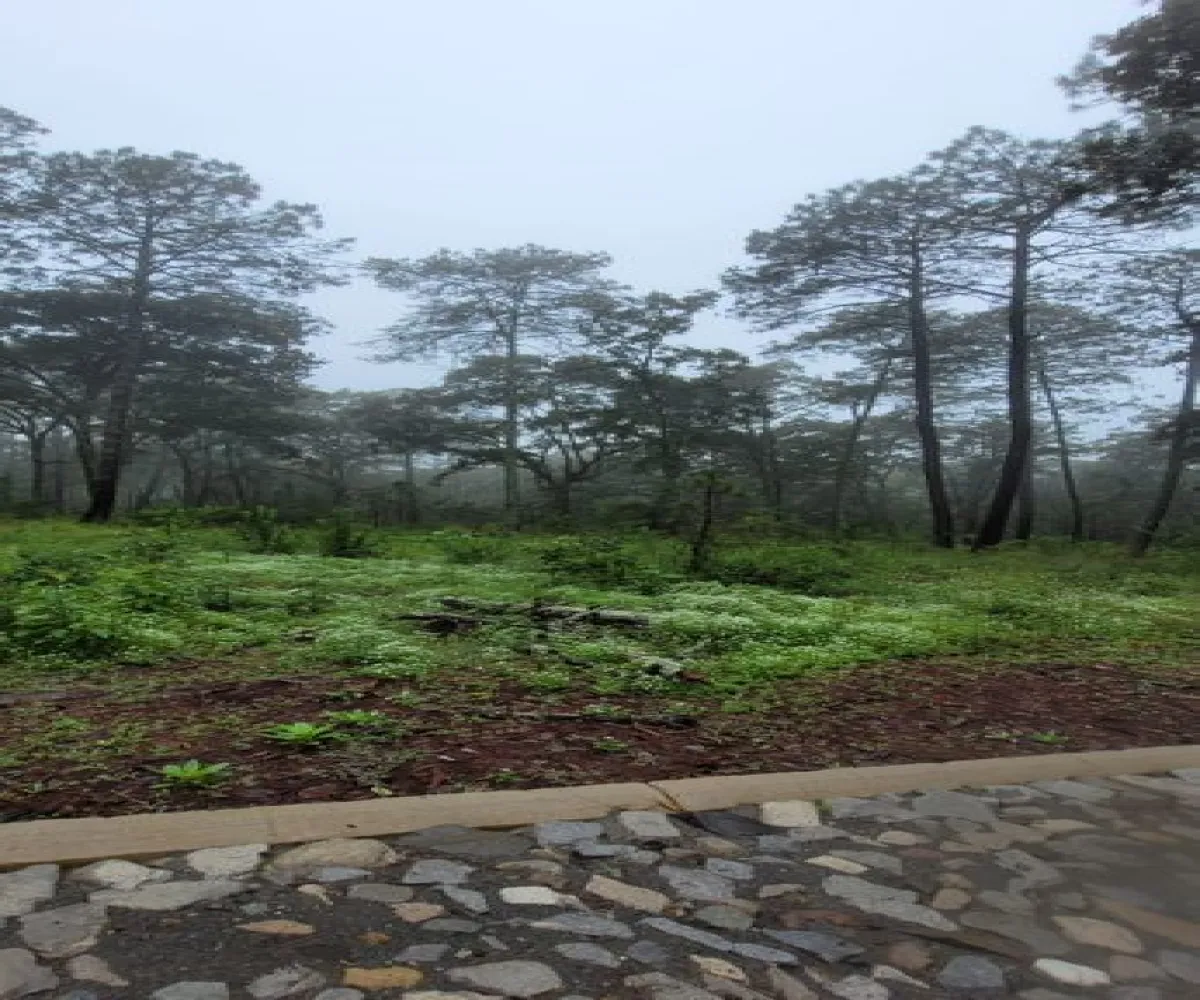 Terreno En Venta,tapalpa,condominio cardo santo S/N, Tapalpa, Jalisco 49340,condominio cardo santo,pR69fFK Terreno En Venta,tapalpa,condominio cardo santo S/N, Tapalpa, Jalisco 49340,condominio cardo santo,pR69fFK