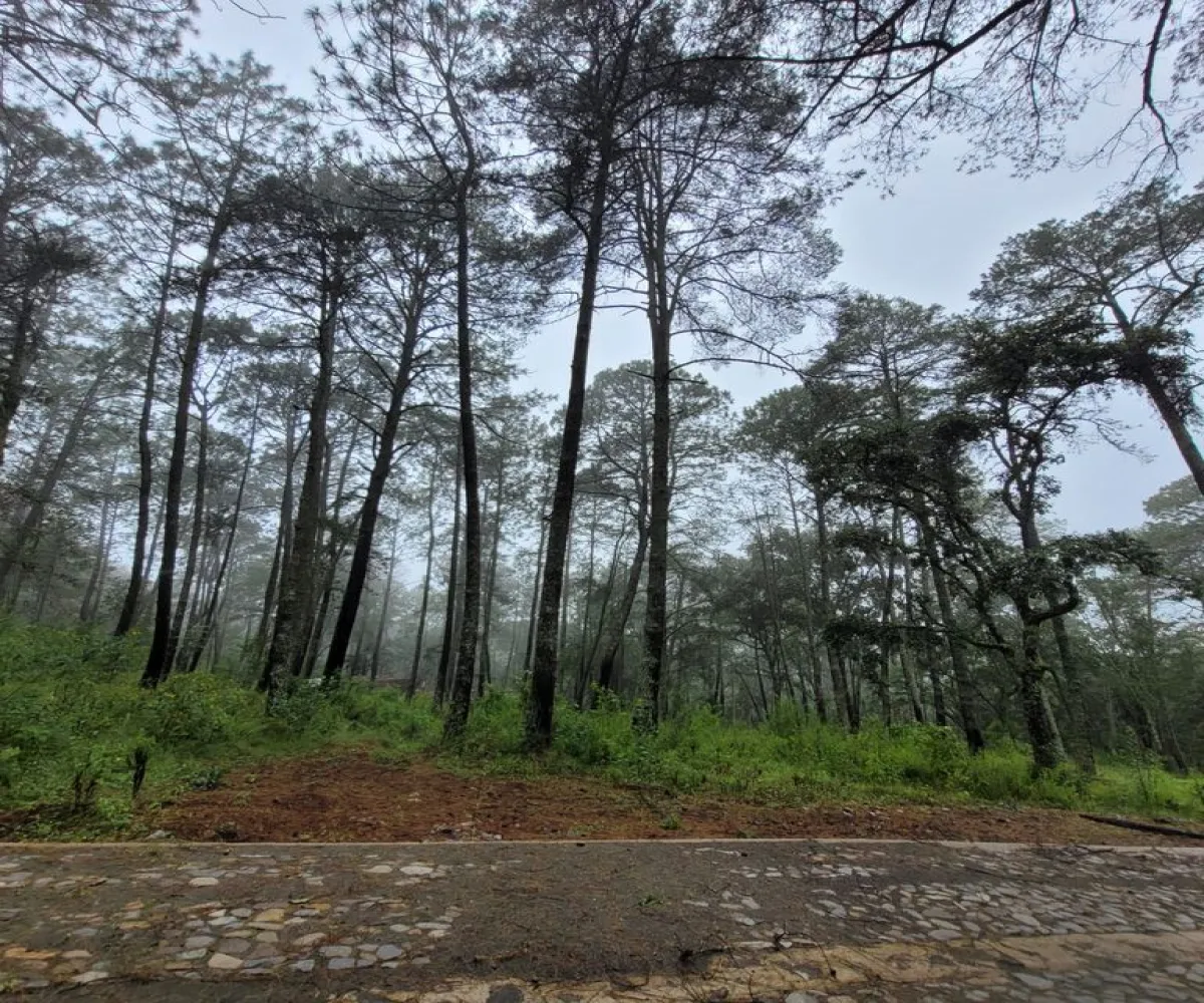 Terreno En Venta,tapalpa,condominio cardo santo S/N, Tapalpa, Jalisco 49340,condominio cardo santo,pR69fFK Terreno En Venta,tapalpa,condominio cardo santo S/N, Tapalpa, Jalisco 49340,condominio cardo santo,pR69fFK