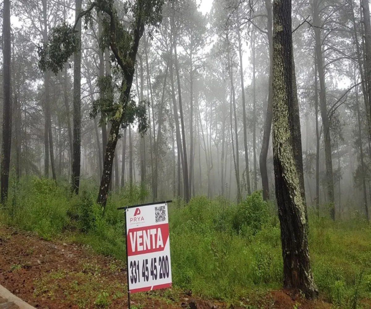 Terreno En Venta,tapalpa,condominio cardo santo S/N, Tapalpa, Jalisco 49340,condominio cardo santo,pR69fFK Terreno En Venta,tapalpa,condominio cardo santo S/N, Tapalpa, Jalisco 49340,condominio cardo santo,pR69fFK