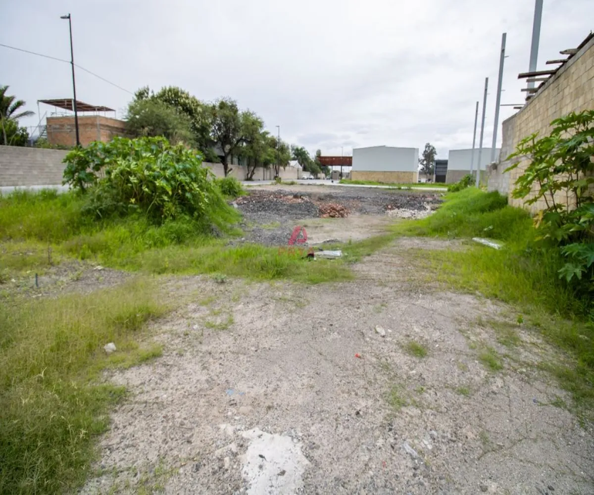 Terreno En Venta,Mezquitera,parque industrial Grunpark S/N, San Pedro Tlaquepaque, Jalisco 45221,parque industrial Grunpark,pxfWkzP
