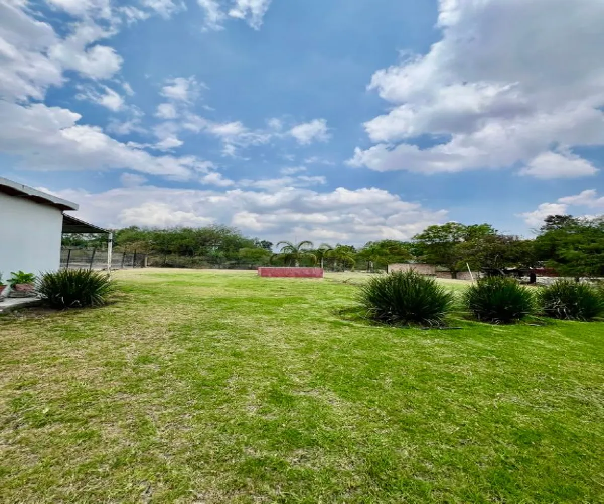 Casa En Venta,El capullin ,Los tres gallos, El pirul 35, México, Jalisco 45675, 4 Habitaciones,2 Baños,Los tres gallos, El pirul,1,pNUUXKa