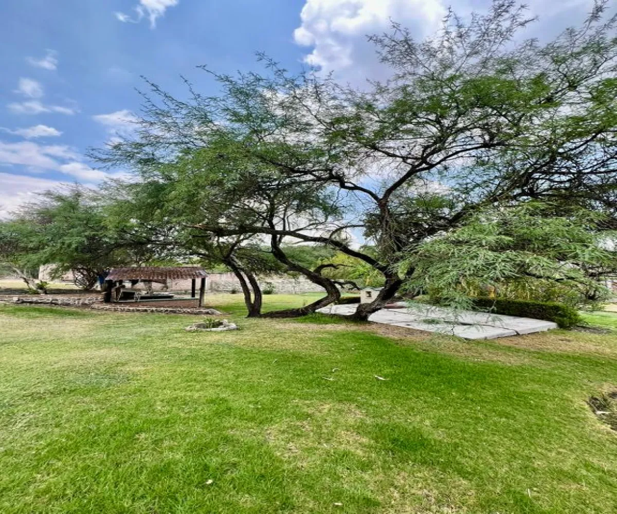 Casa En Venta,El capullin ,Los tres gallos, El pirul 35, México, Jalisco 45675, 4 Habitaciones,2 Baños,Los tres gallos, El pirul,1,pNUUXKa