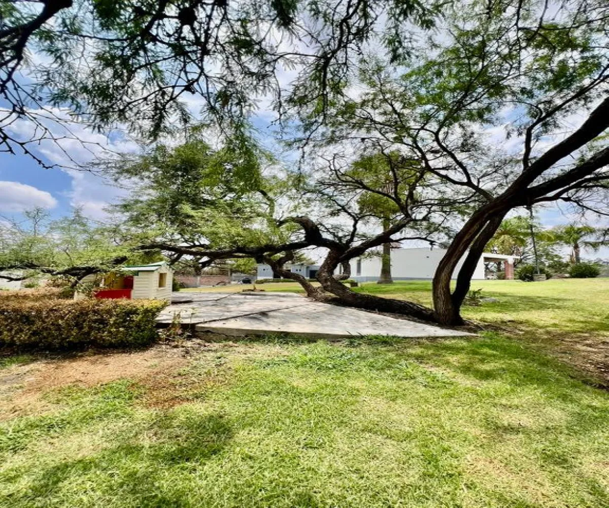 Casa En Venta,El capullin ,Los tres gallos, El pirul 35, México, Jalisco 45675, 4 Habitaciones,2 Baños,Los tres gallos, El pirul,1,pNUUXKa