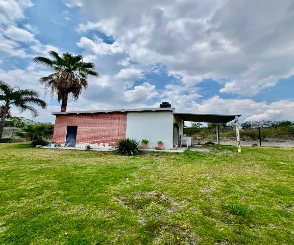 Casa En Venta,El capullin ,Los tres gallos, El pirul 35, México, Jalisco 45675, 4 Habitaciones,2 Baños,Los tres gallos, El pirul,1,pNUUXKa