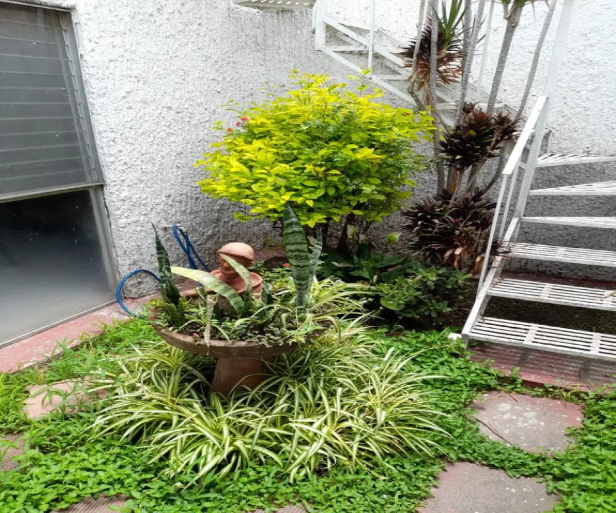 Casa En Venta,Arboledas 1a Secc,Galileo Galilei S/N, Zapopan, Jalisco 45070, 3 Habitaciones,3 Baños,Galileo Galilei,1,pjkjOs9 Casa En Venta,Arboledas 1a Secc,Galileo Galilei S/N, Zapopan, Jalisco 45070, 3 Habitaciones,3 Baños,Galileo Galilei,1,pjkjOs9