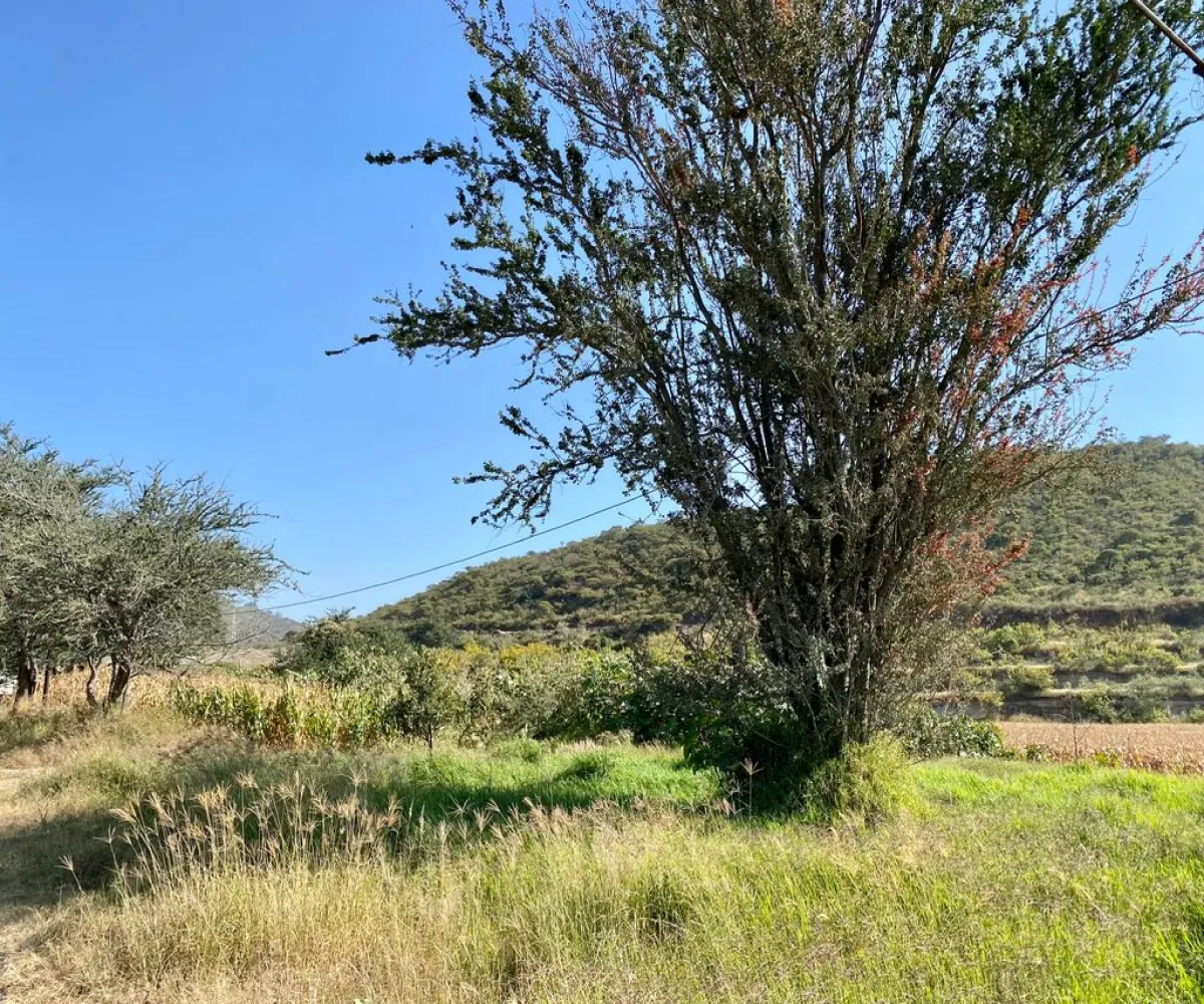 Terreno En Venta,Santa Anita,CAMINO SAN ISIDRO MAZATEPEC S/N, Tlajomulco de Zúñiga, Jalisco 45645,CAMINO SAN ISIDRO MAZATEPEC,pzHtP4V Terreno En Venta,Santa Anita,CAMINO SAN ISIDRO MAZATEPEC S/N, Tlajomulco de Zúñiga, Jalisco 45645,CAMINO SAN ISIDRO MAZATEPEC,pzHtP4V