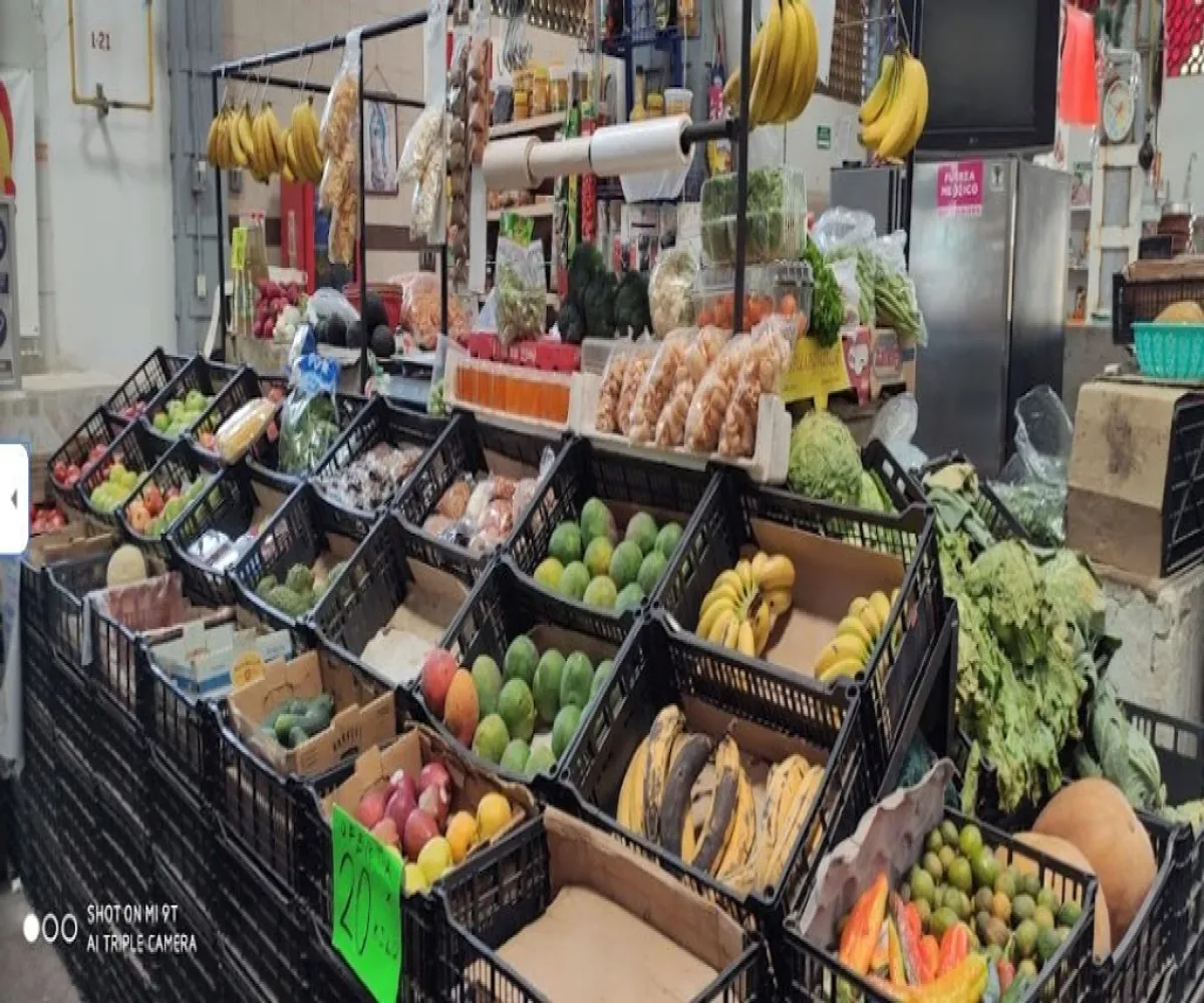 Local En Venta,Del Sur,Puerto Rico 1854, Guadalajara, Jalisco 44920,Puerto Rico,1,p0PHy8H