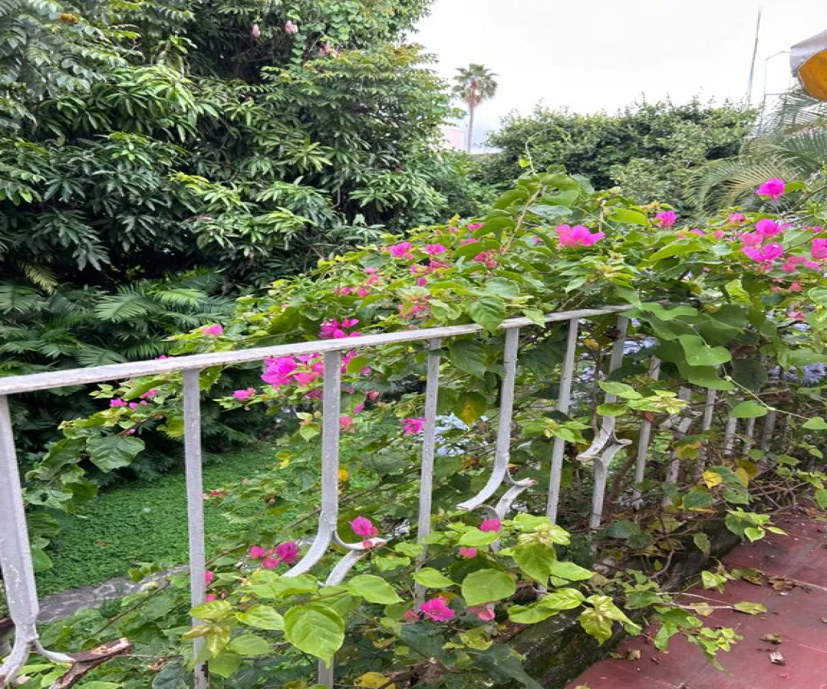 Casa En Venta,Res Victoria,Calle Coral 2696, Guadalajara, Jalisco 44560, 4 Habitaciones,3 Baños,Calle Coral,1,pXbnEz3