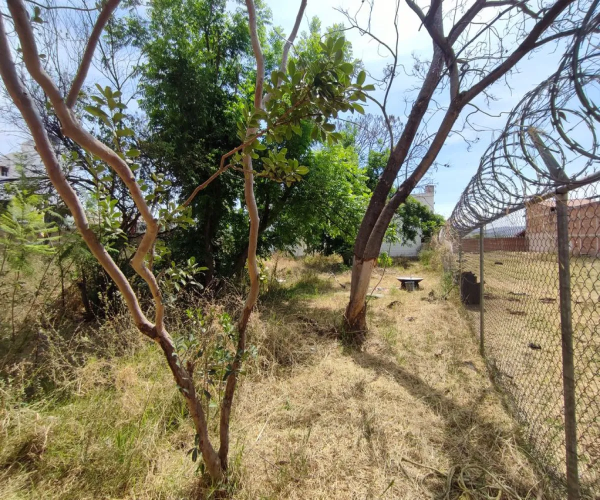 Terreno En Venta,El Raicero,20 de Noviembre 1402, Ocotlán, Jalisco 47892,20 de Noviembre,pTZQr61