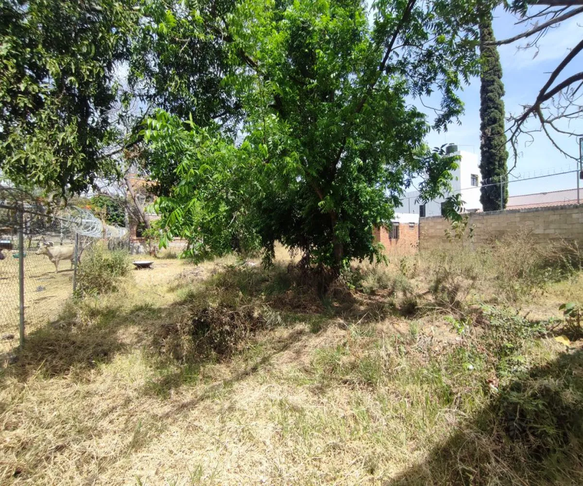 Terreno En Venta,El Raicero,20 de Noviembre 1402, Ocotlán, Jalisco 47892,20 de Noviembre,pTZQr61