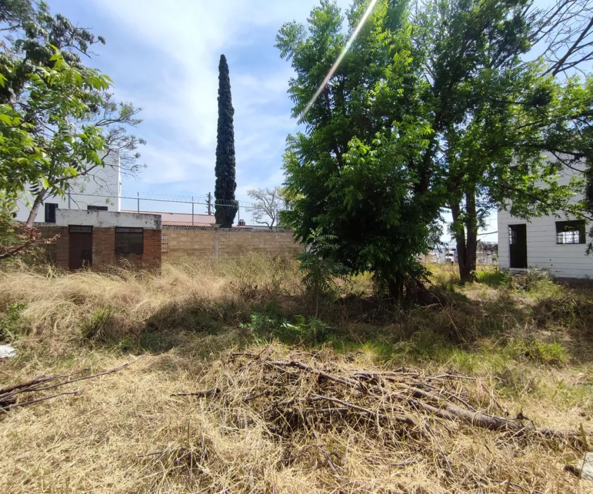 Terreno En Venta,El Raicero,20 de Noviembre 1402, Ocotlán, Jalisco 47892,20 de Noviembre,pTZQr61