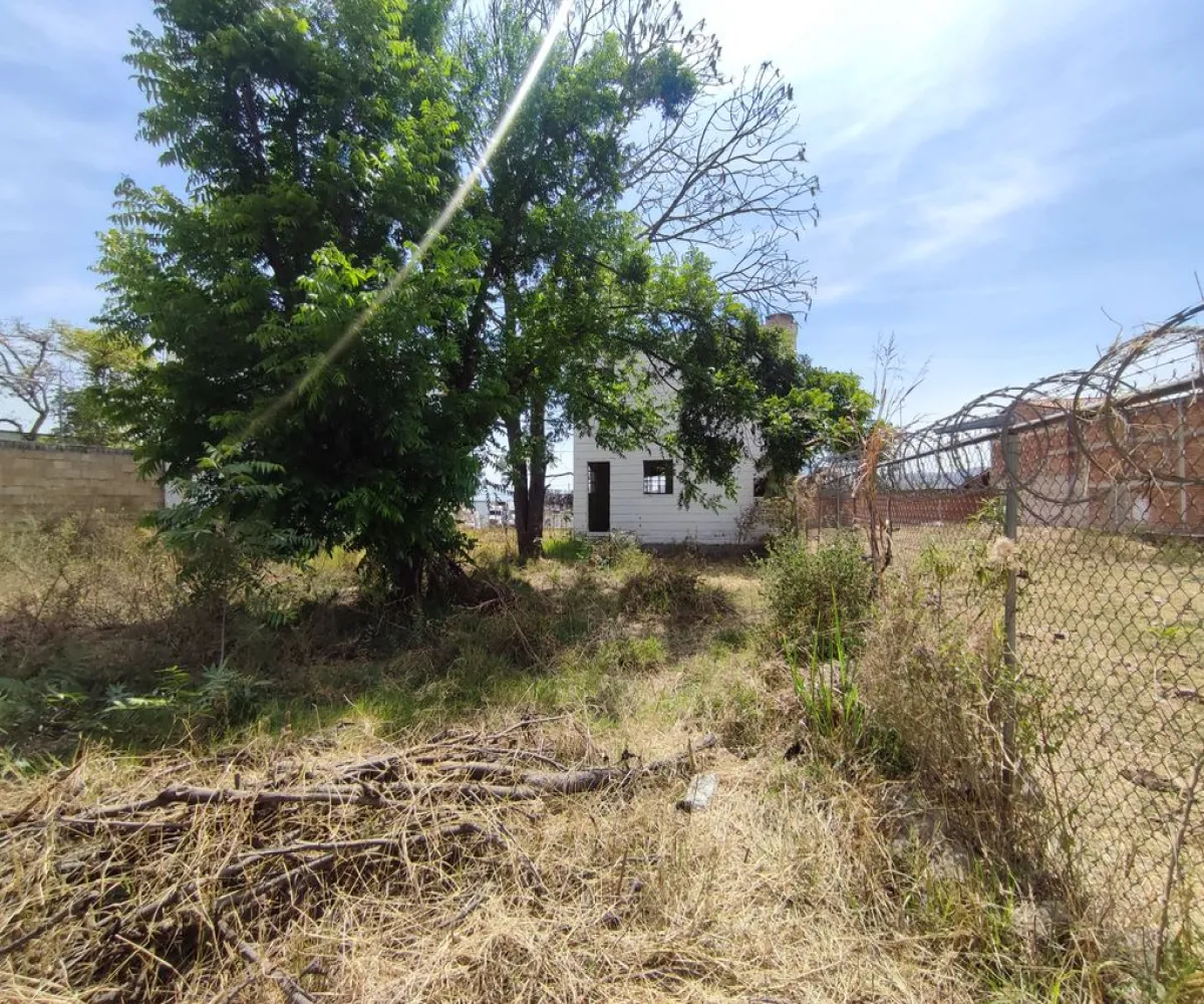 Terreno En Venta,El Raicero,20 de Noviembre 1402, Ocotlán, Jalisco 47892,20 de Noviembre,pTZQr61