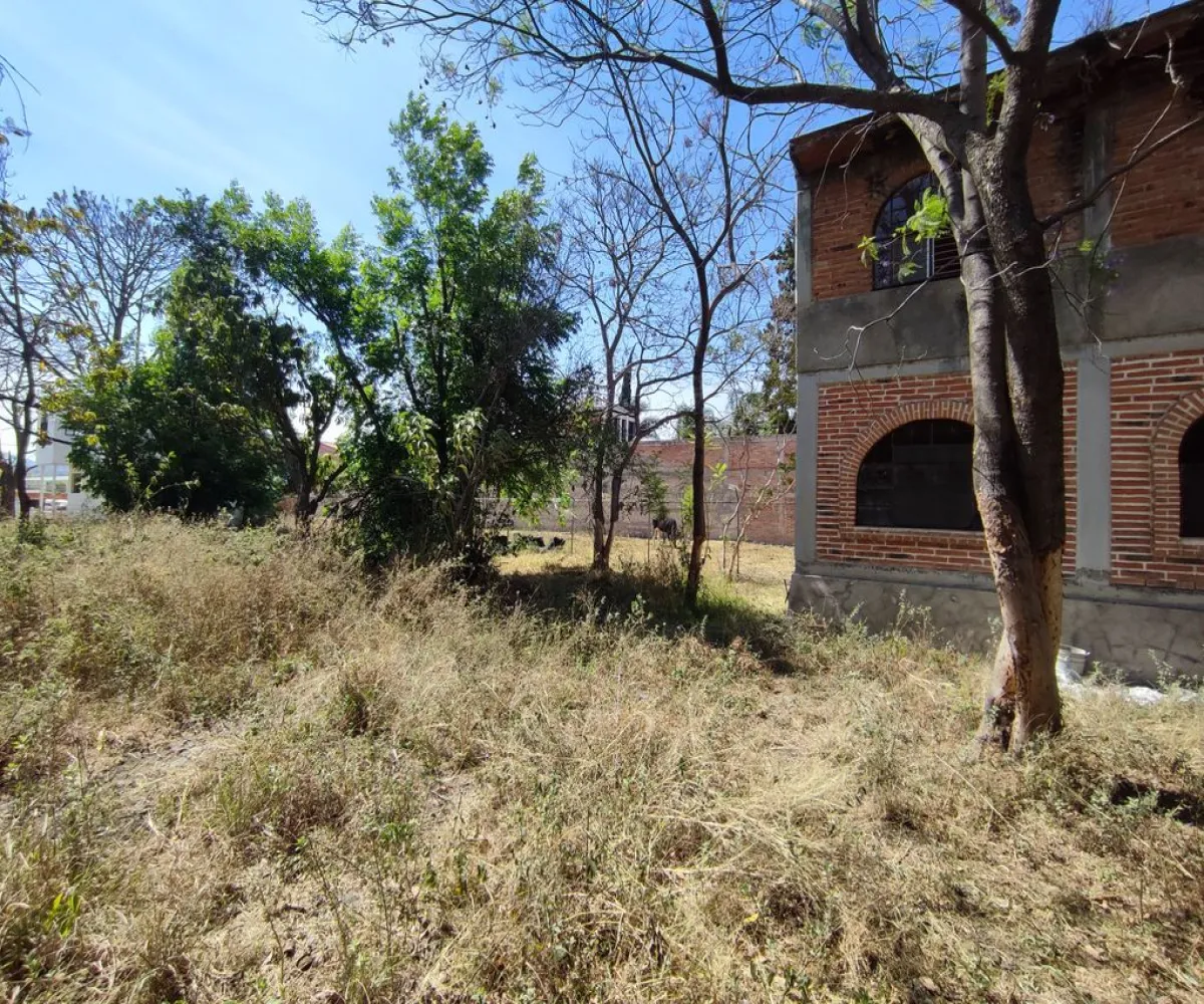 Terreno En Venta,El Raicero,20 de Noviembre 1402, Ocotlán, Jalisco 47892,20 de Noviembre,pTZQr61