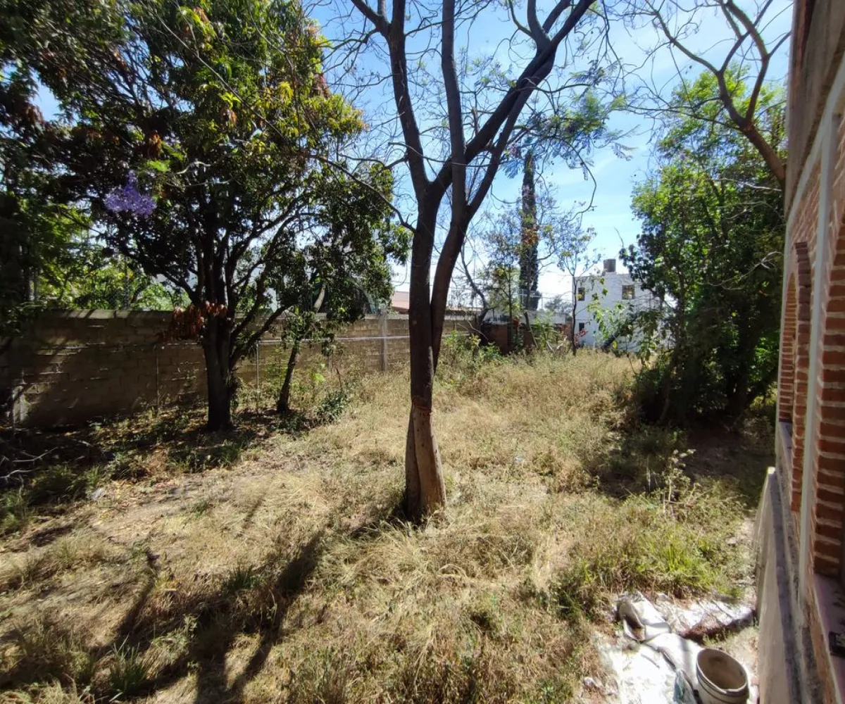 Terreno En Venta,El Raicero,20 de Noviembre 1402, Ocotlán, Jalisco 47892,20 de Noviembre,pTZQr61