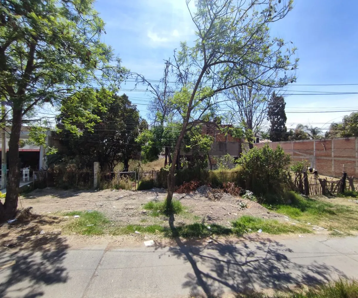 Terreno En Venta,El Raicero,20 de Noviembre 1402, Ocotlán, Jalisco 47892,20 de Noviembre,pTZQr61