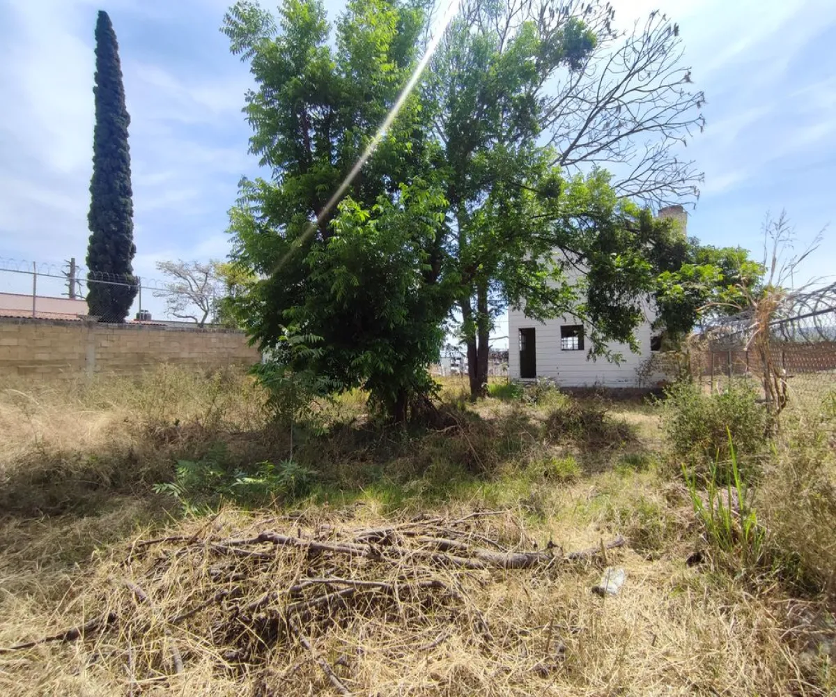 Terreno En Venta,El Raicero,20 de Noviembre 1402, Ocotlán, Jalisco 47892,20 de Noviembre,pTZQr61