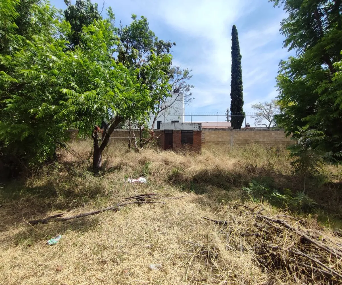 Terreno En Venta,El Raicero,20 de Noviembre 1402, Ocotlán, Jalisco 47892,20 de Noviembre,pTZQr61