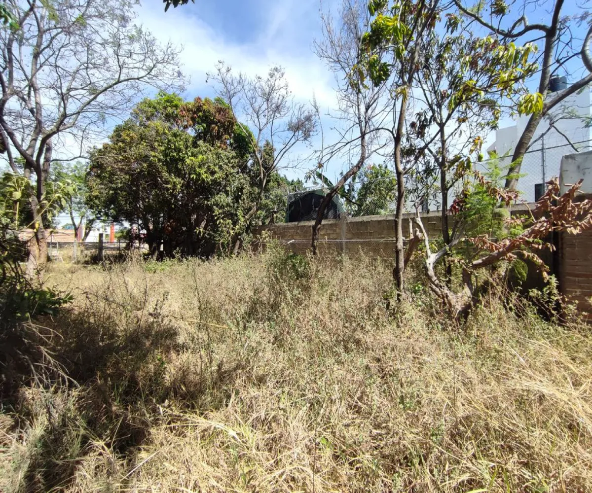 Terreno En Venta,El Raicero,20 de Noviembre 1402, Ocotlán, Jalisco 47892,20 de Noviembre,pTZQr61