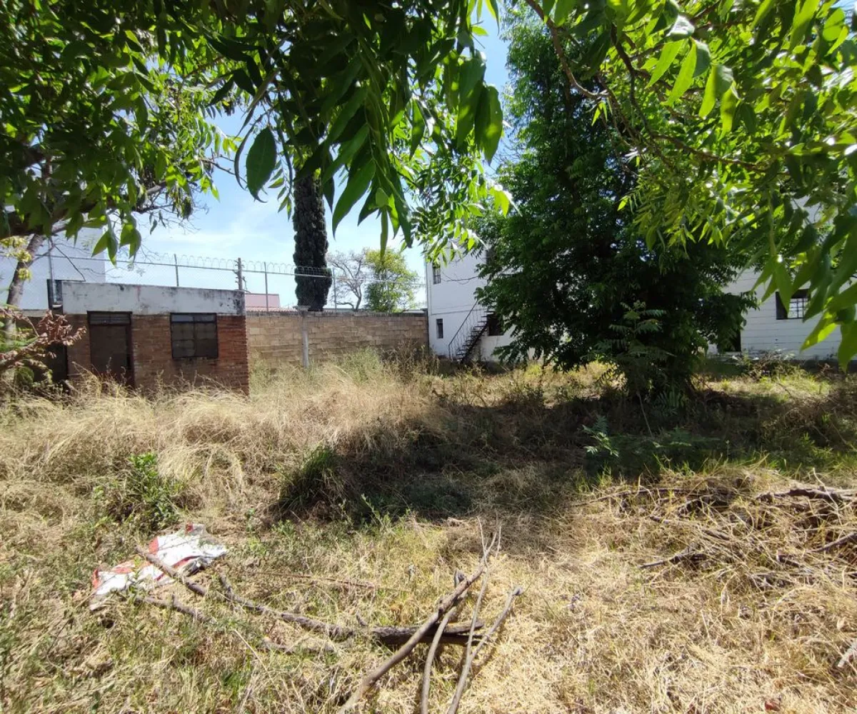 Terreno En Venta,El Raicero,20 de Noviembre 1402, Ocotlán, Jalisco 47892,20 de Noviembre,pTZQr61