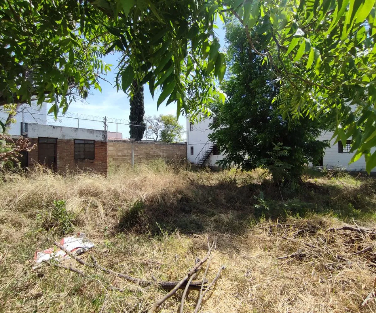 Terreno En Venta,El Raicero,20 de Noviembre 1402, Ocotlán, Jalisco 47892,20 de Noviembre,pTZQr61