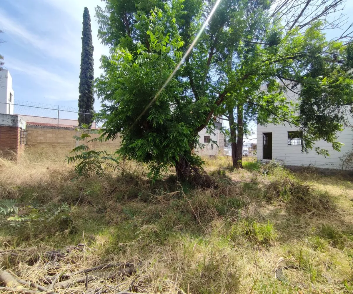 Terreno En Venta,El Raicero,20 de Noviembre 1402, Ocotlán, Jalisco 47892,20 de Noviembre,pTZQr61