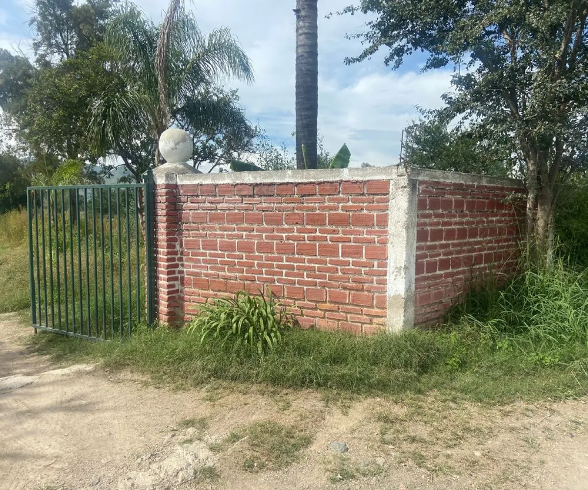 Terreno En Venta,San Sebastian El Grande ,Avenida Jesús Michel Gonzalez s/n, Tlajomulco de Zúñiga, Jalisco 45650,Avenida Jesús Michel Gonzalez,pSL8liS Terreno En Venta,San Sebastian El Grande ,Avenida Jesús Michel Gonzalez s/n, Tlajomulco de Zúñiga, Jalisco 45650,Avenida Jesús Michel Gonzalez,pSL8liS