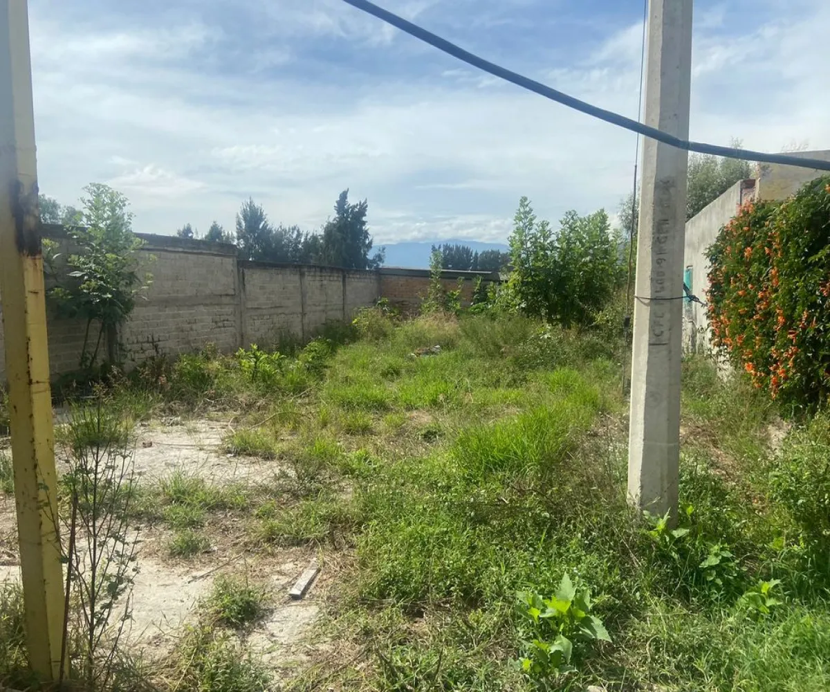 Terreno En Venta,San Sebastian El Grande ,Avenida Jesús Michel Gonzalez s/n, Tlajomulco de Zúñiga, Jalisco 45650,Avenida Jesús Michel Gonzalez,pSL8liS Terreno En Venta,San Sebastian El Grande ,Avenida Jesús Michel Gonzalez s/n, Tlajomulco de Zúñiga, Jalisco 45650,Avenida Jesús Michel Gonzalez,pSL8liS