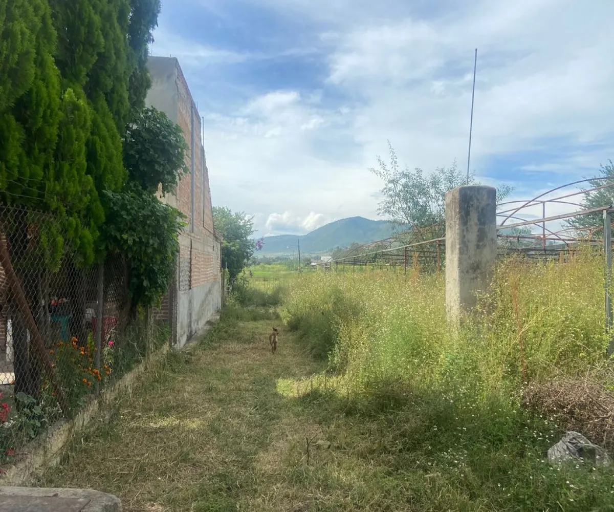 Terreno En Venta,San Sebastian El Grande ,Avenida Jesús Michel Gonzalez s/n, Tlajomulco de Zúñiga, Jalisco 45650,Avenida Jesús Michel Gonzalez,pSL8liS Terreno En Venta,San Sebastian El Grande ,Avenida Jesús Michel Gonzalez s/n, Tlajomulco de Zúñiga, Jalisco 45650,Avenida Jesús Michel Gonzalez,pSL8liS
