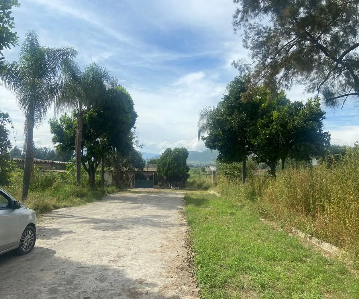 Terreno En Venta,San Sebastian El Grande ,Avenida Jesús Michel Gonzalez s/n, Tlajomulco de Zúñiga, Jalisco 45650,Avenida Jesús Michel Gonzalez,pSL8liS Terreno En Venta,San Sebastian El Grande ,Avenida Jesús Michel Gonzalez s/n, Tlajomulco de Zúñiga, Jalisco 45650,Avenida Jesús Michel Gonzalez,pSL8liS